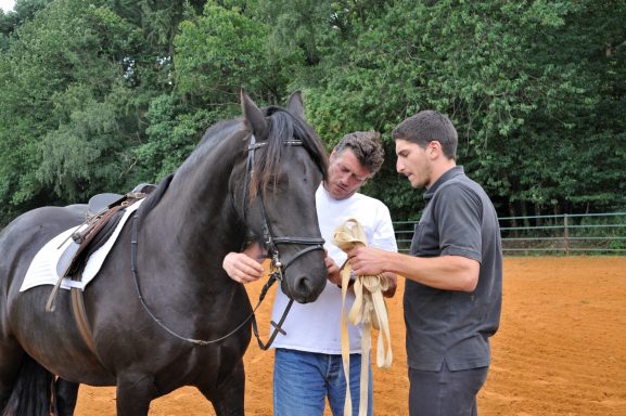 Deux hommes discutent près d'un cheval noir dans un paddock.